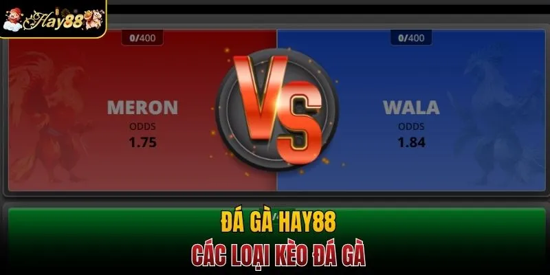 Các loại kèo đá gà