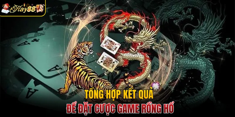 Tổng hợp kết quả để đặt cược game rồng hổ