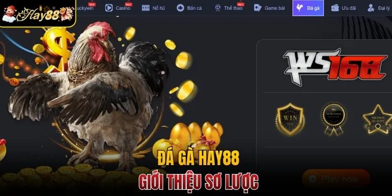 Tổng quan đá gà Hay88